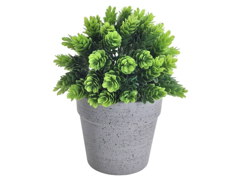 GTIN-6974221246452-06