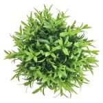 GTIN-6974221246452-07