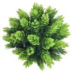 GTIN-6974221246452-08