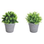 GTIN-6974221246452-09