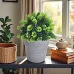 GTIN-6974221246452-10