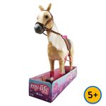 GTIN-0810019190148-03