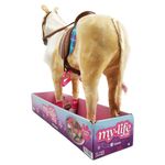 GTIN-0810019190148-04