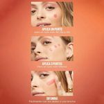 GTIN-3600531668464-05