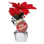 GTIN-6945926382950-01