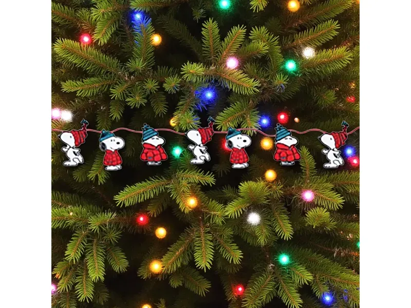 GTIN-0840026123402-02