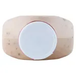 GTIN-0078742230313-07