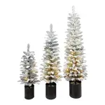 GTIN-0685024475784-01