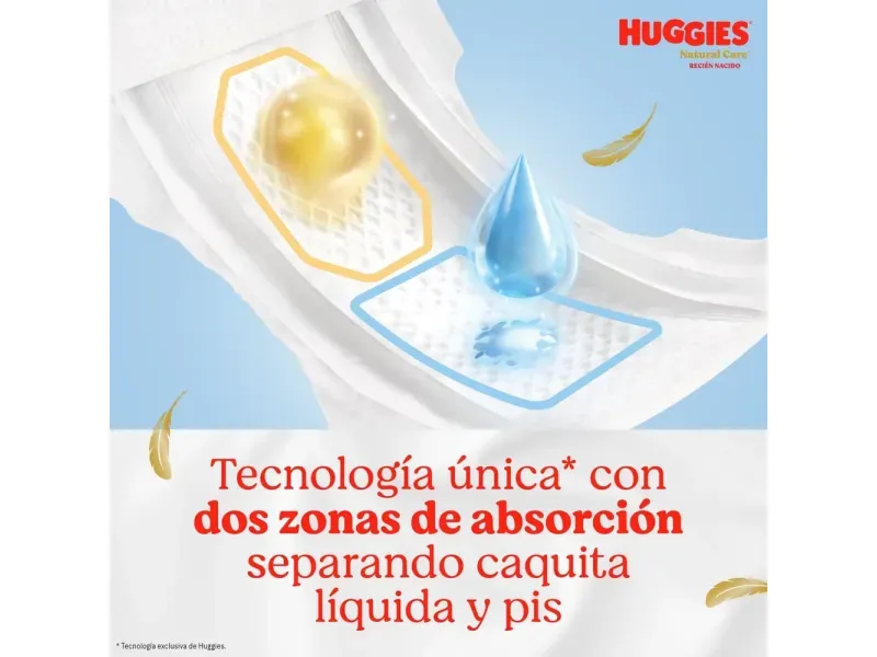 2025-11-19T20:19:13.886Z