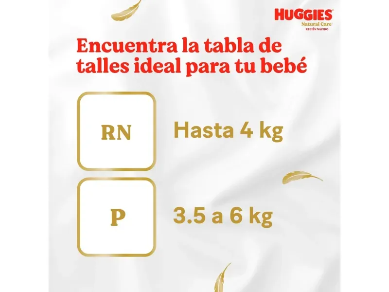 2025-11-19T20:19:16.723Z