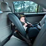 GTIN-7501036976077-08