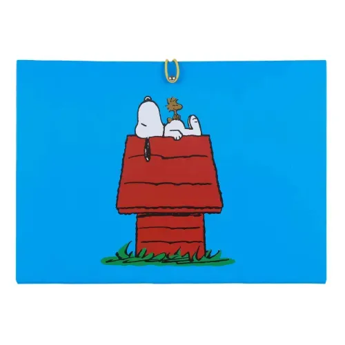 Snoopy Azul Archivero Con Divisiones
