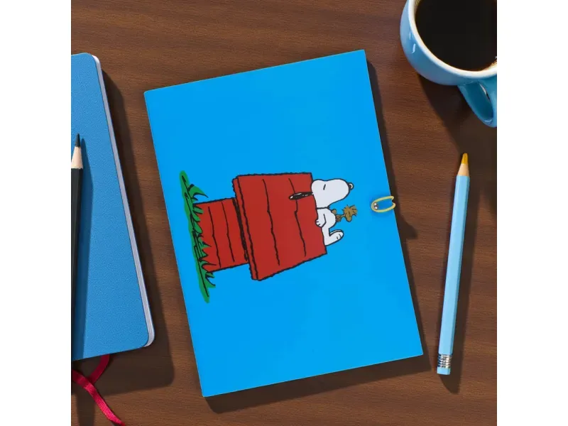 GTIN-6977900897259-06