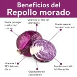 GTIN-2555510000005-03