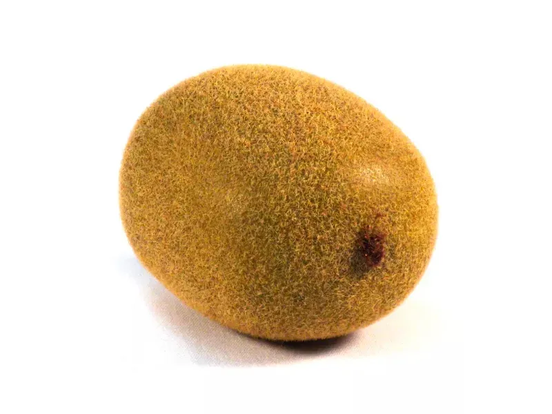 GTIN-0000000043014-02