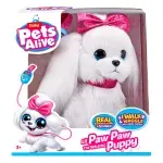 GTIN-0193052037947-01