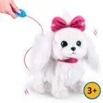 GTIN-0193052037947-03