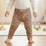 GTIN-0015209707537-04