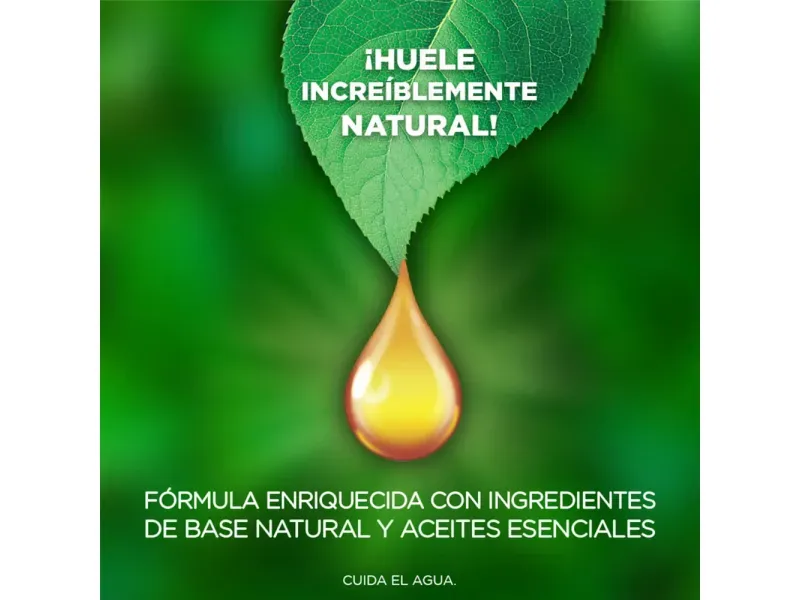 GTIN-0062338856193-04