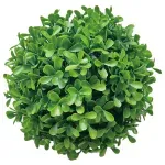 GTIN-6974221246551-01