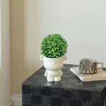 GTIN-6974221246551-05