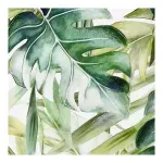 GTIN-6902955203564-03