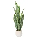 GTIN-6974221247527-01