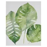 GTIN-6937358313657-04