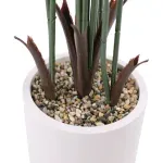 GTIN-6974221247497-03