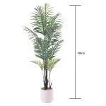 GTIN-6974221247497-04