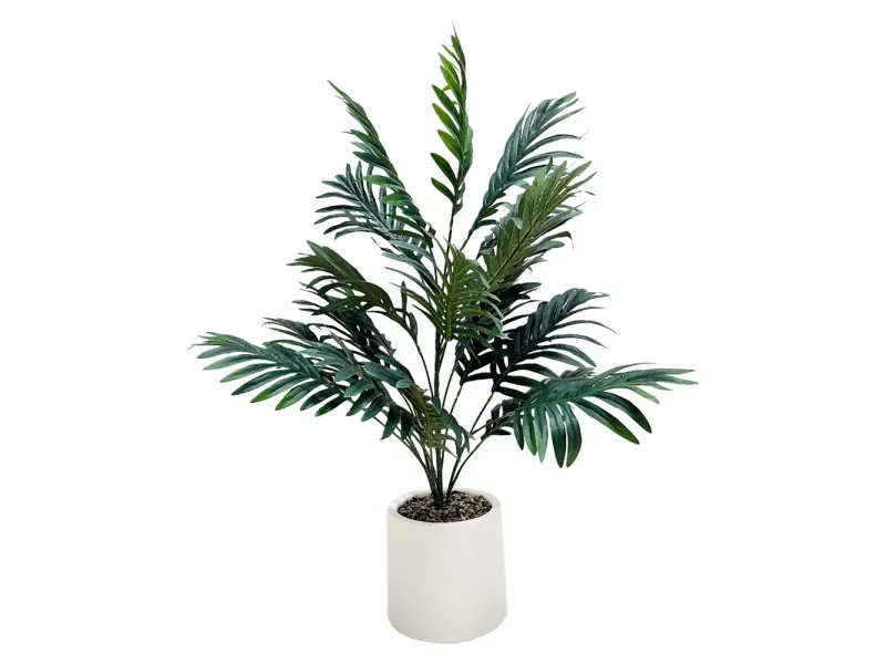 GTIN-6974221244472-01