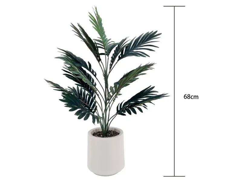 GTIN-6974221244472-03