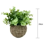 GTIN-6974221244380-03