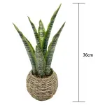 GTIN-6974221244397-03