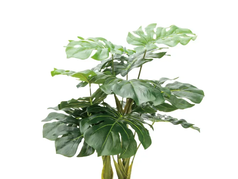 GTIN-6974221244465-02