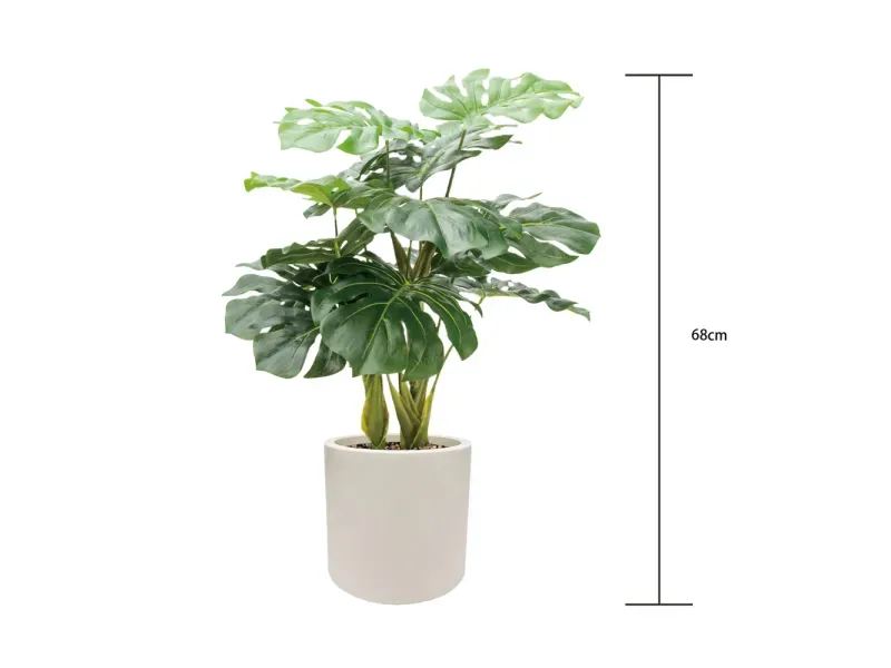 GTIN-6974221244465-04