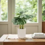 GTIN-6974221244465-05