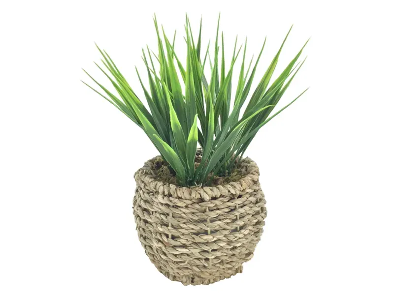 GTIN-6974221244366-01