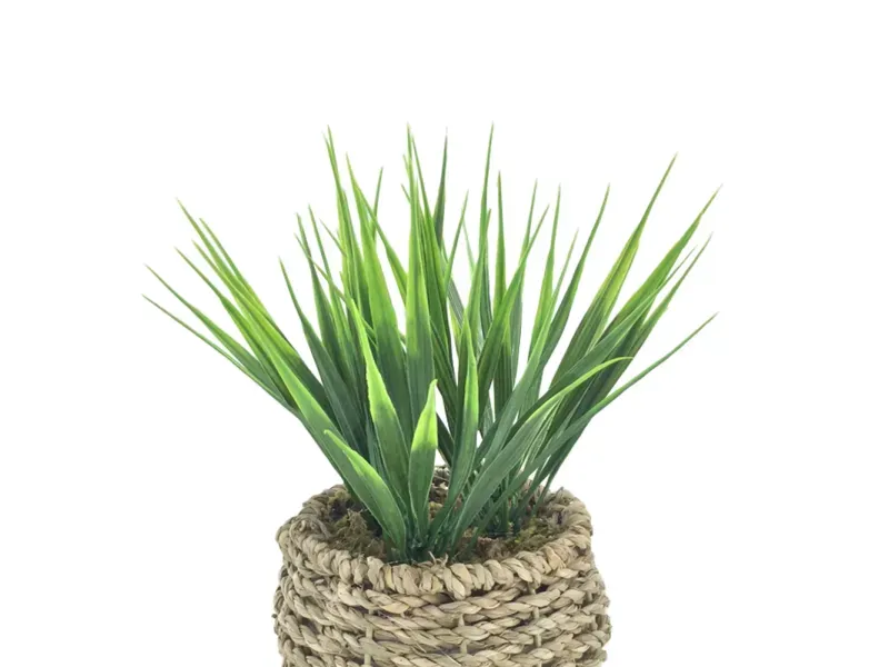 GTIN-6974221244366-02