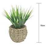 GTIN-6974221244366-03