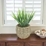 GTIN-6974221244366-04