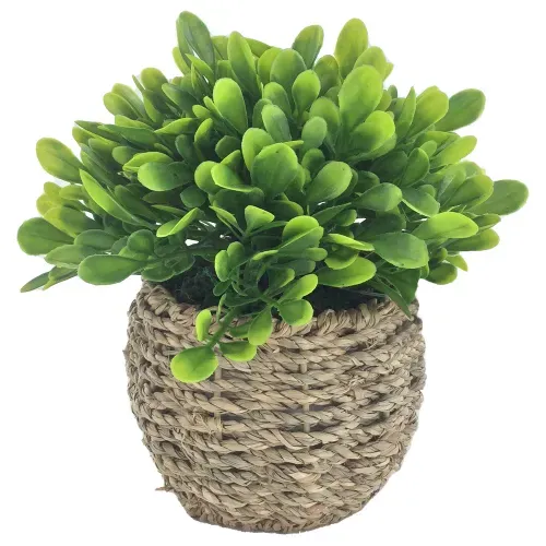Planta Mainstays artificial - 15 cm