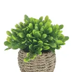 GTIN-6974221244373-02