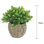 GTIN-6974221244373-03