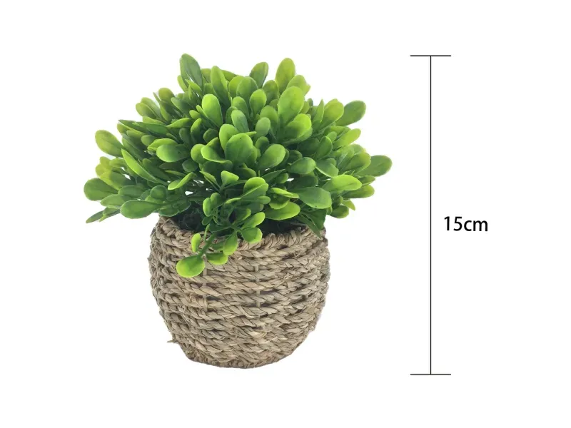 GTIN-6974221244373-03