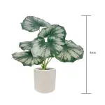 GTIN-6974221244458-04