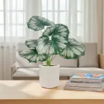 GTIN-6974221244458-05