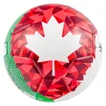 GTIN-7441025957437-12