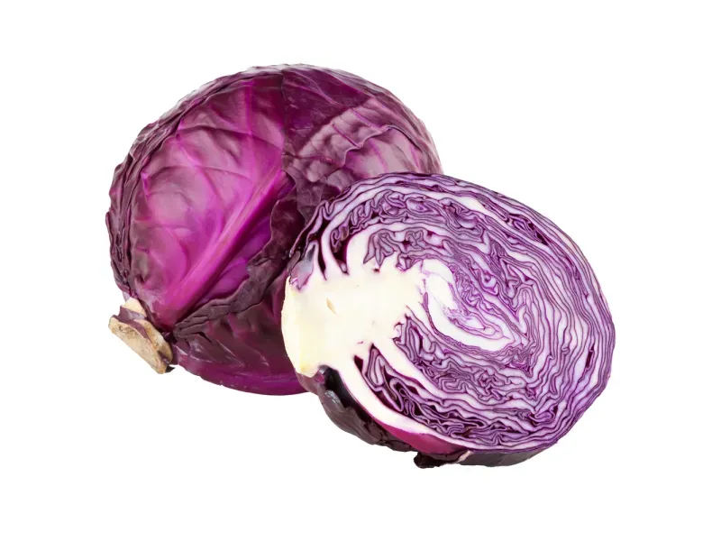 GTIN-0000000045544-01