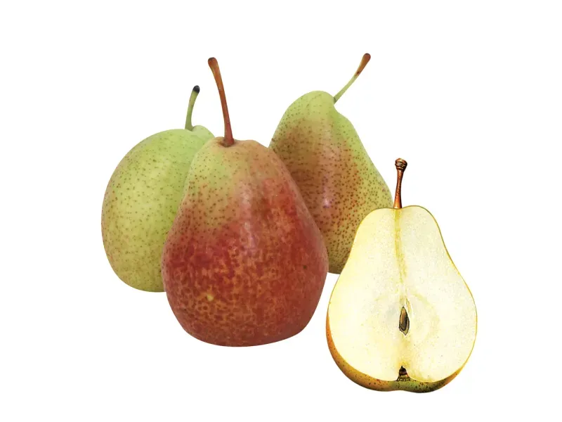 GTIN-0194735095926-01